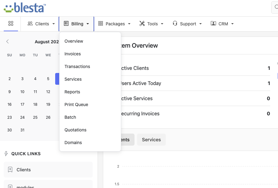 The Billing dropdown — Overview, Invoices, Transactions, Services, Reports and more, one click from anywhere